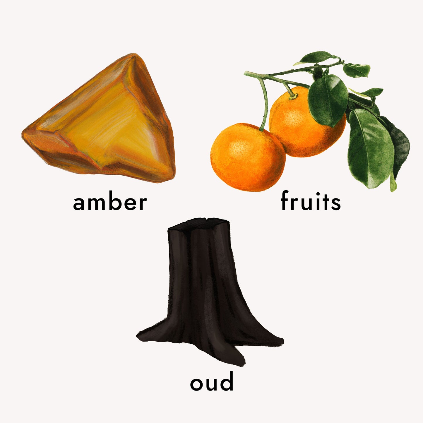 perfume