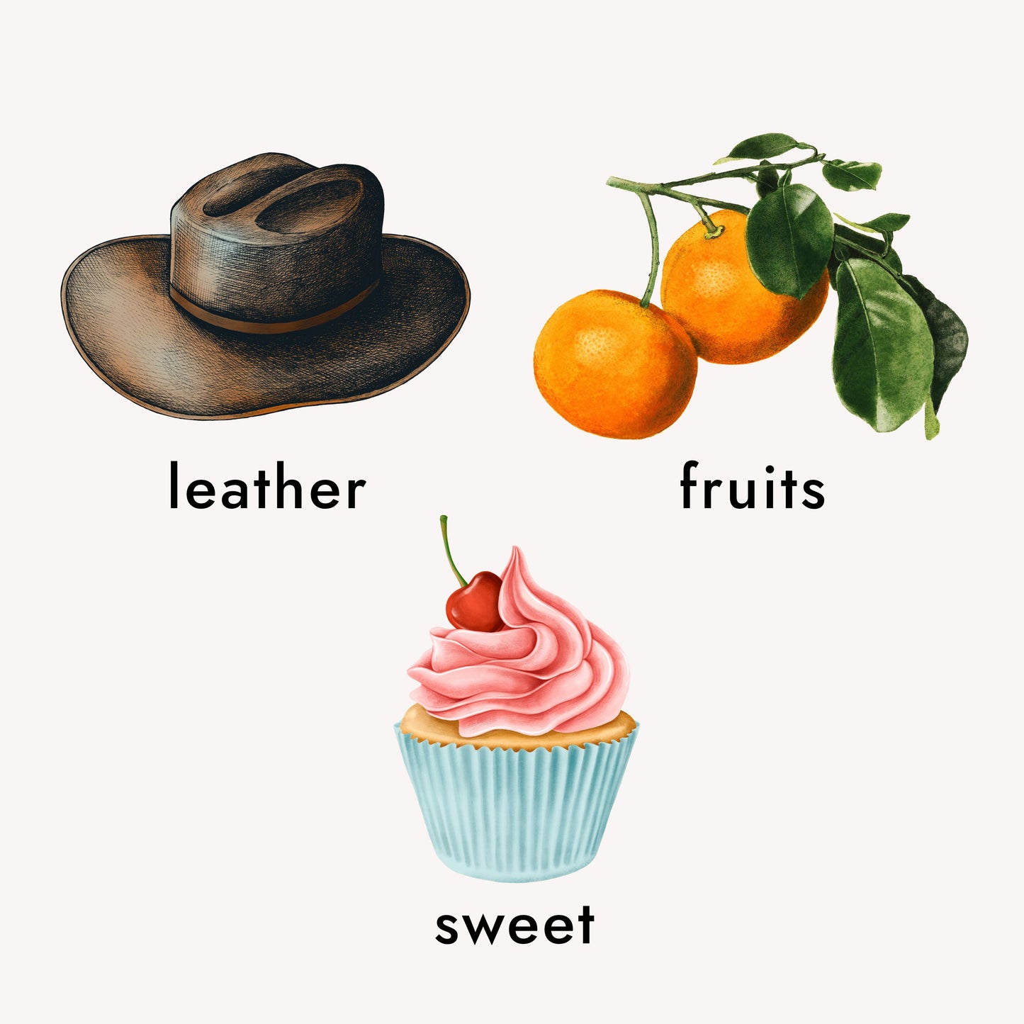 perfume