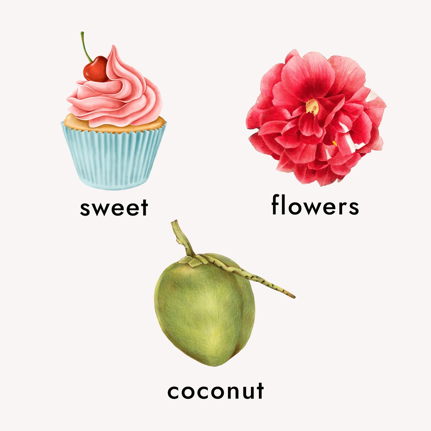 fragrance