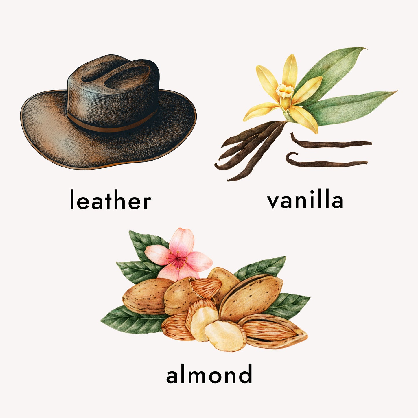 Eau de Parfum