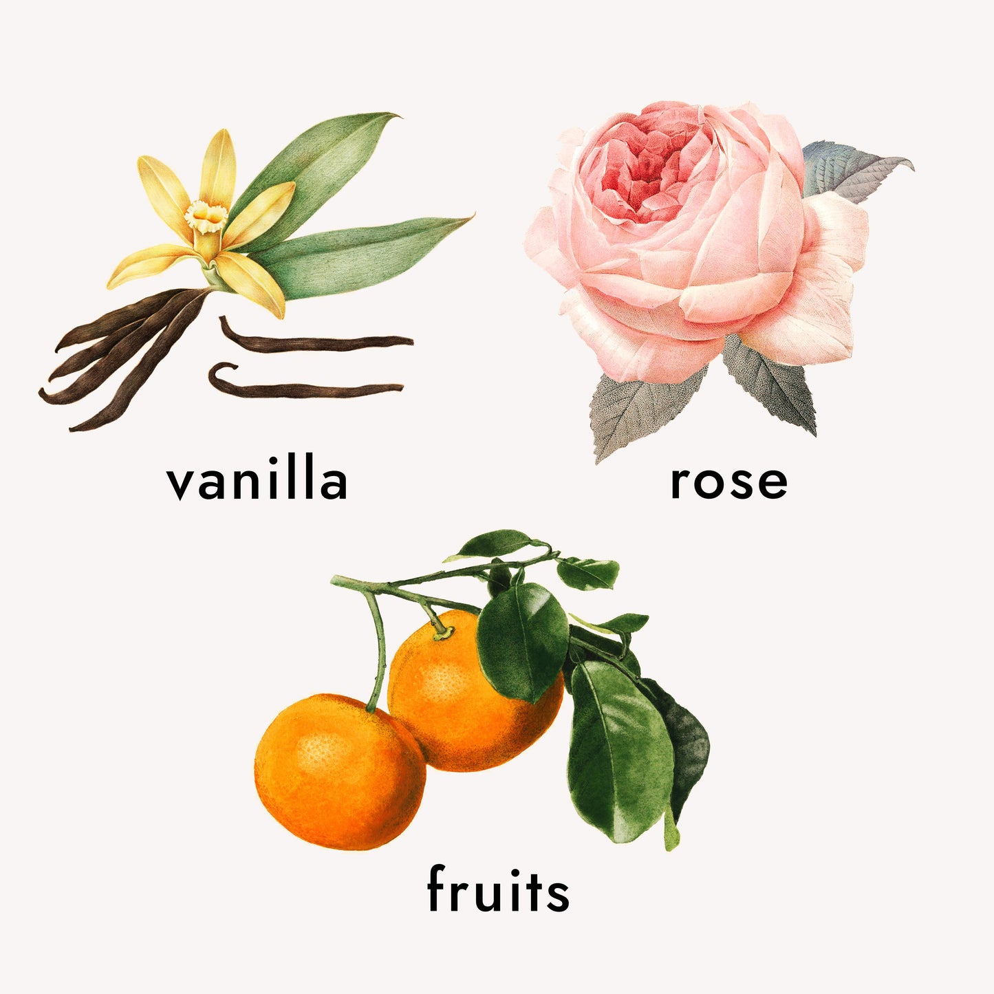 Eau de Parfum